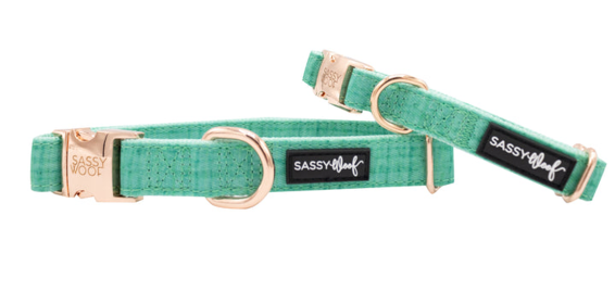 Collar (Color: Teal, size: medium)
