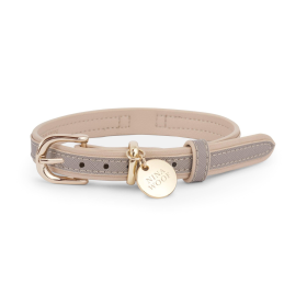 London Dog Collar (size: medium)