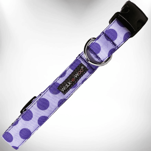 Polka Dot Dog - Monotone Collars