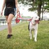 GF Pet  Reflective Leash
