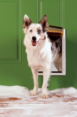 PetSafe Extreme Weather Pet Door